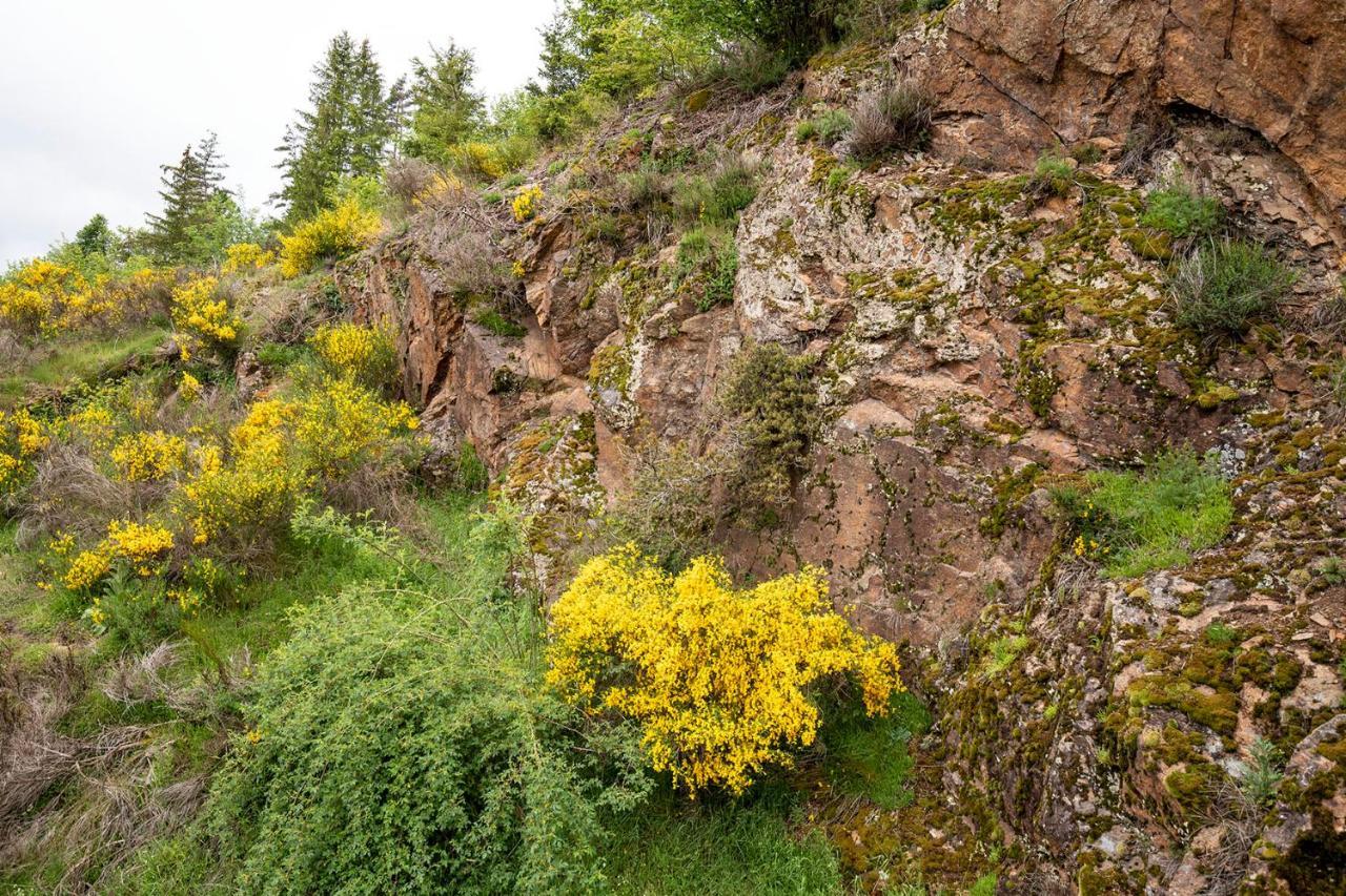 Moulin Des Comtes - Chambre Les Rochers Viverols Exteriör bild