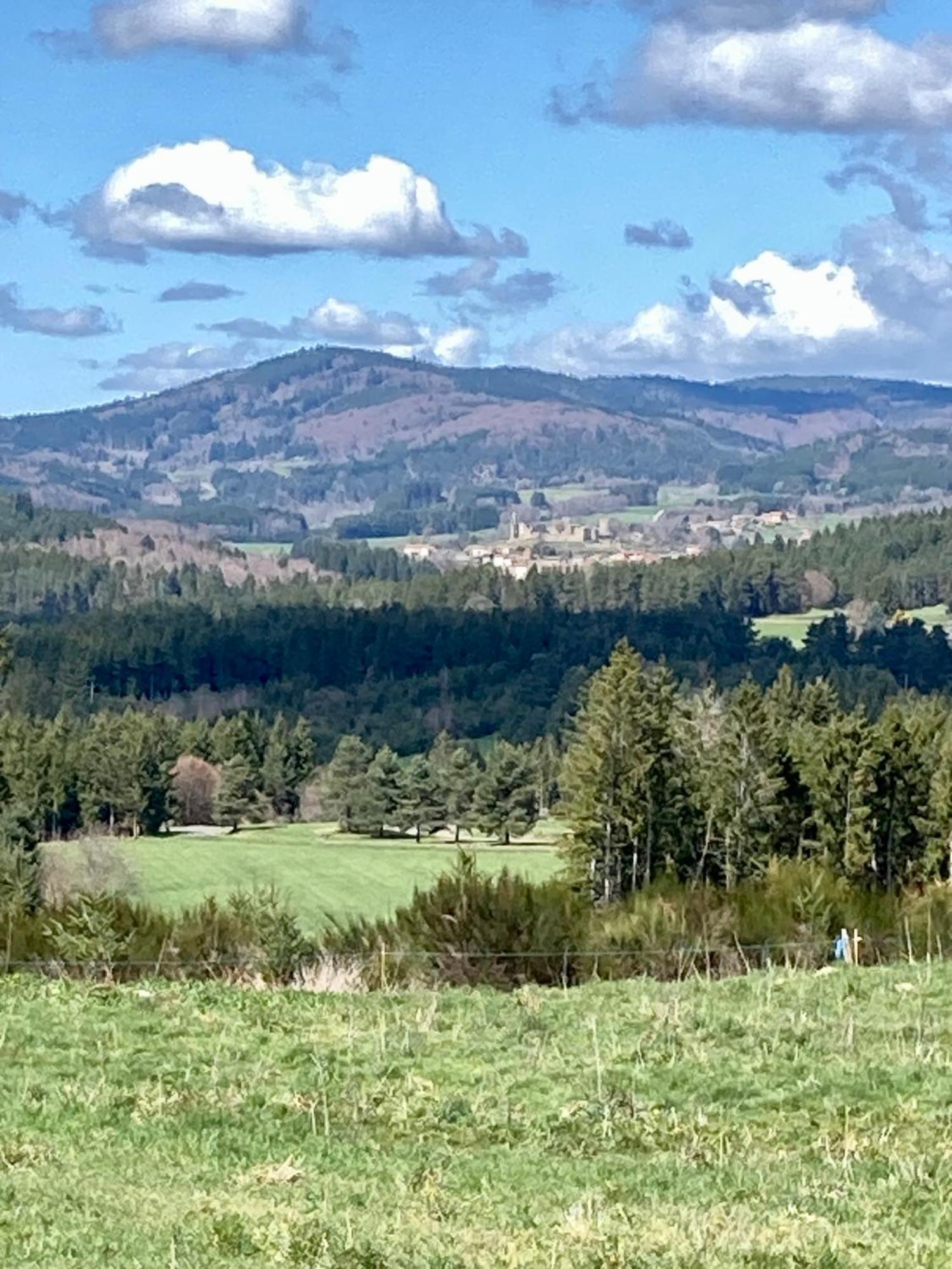 Moulin Des Comtes - Chambre Les Rochers Viverols Exteriör bild